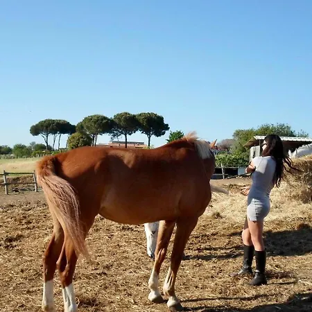 Vila Panoramic In Umbria *