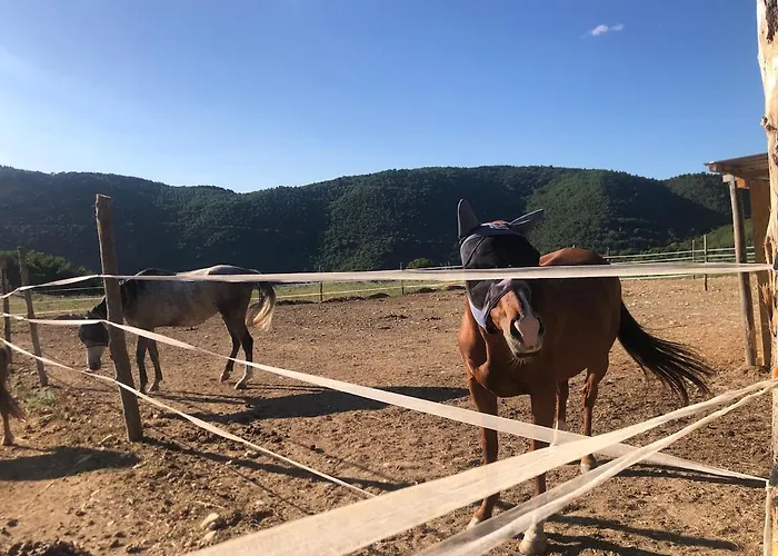 Vila Panoramic In Umbria Montefranco
