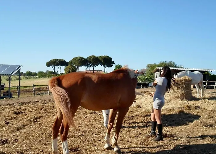 Vila Panoramic In Umbria *